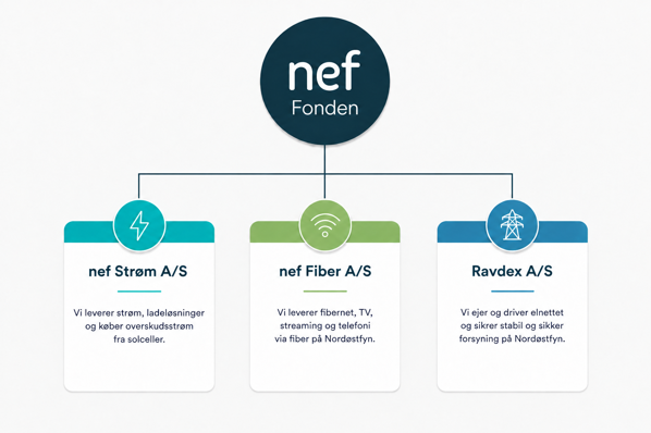 Orginastionsdiagram Nef