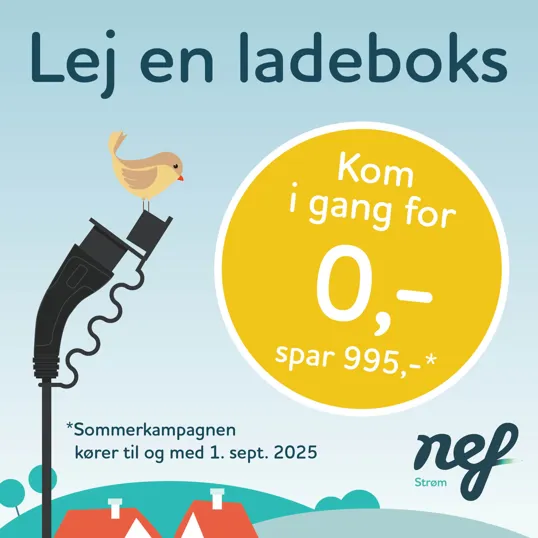 Laj Ladeboks Sommerkampagne